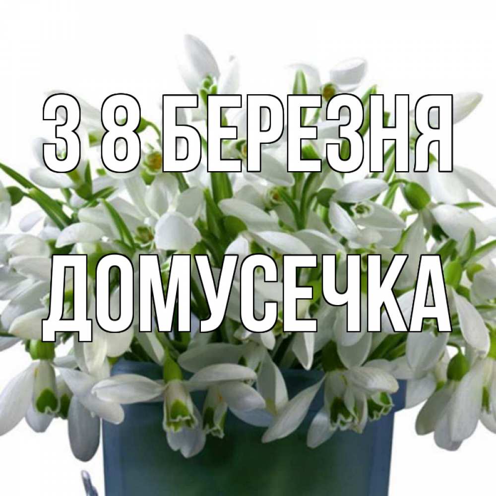 Открытка на каждый день з підписом, Домусечка З 8 БЕРЕЗНЯ цветы к международному женскому дню Прикольна листівка з побажанням онлайн скачати безкоштовно 