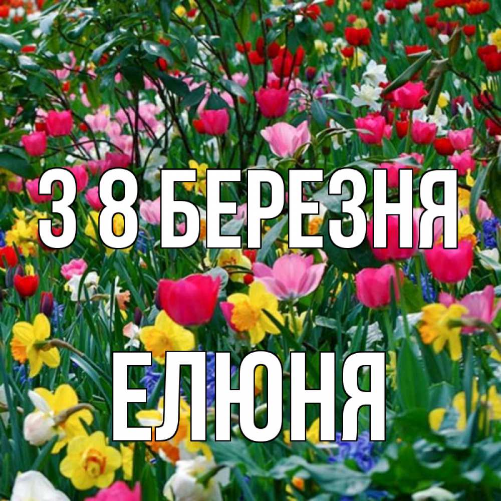 Открытка на каждый день з підписом, Елюня З 8 БЕРЕЗНЯ с международным женским днем поздравления для женщины Прикольна листівка з побажанням онлайн скачати безкоштовно 