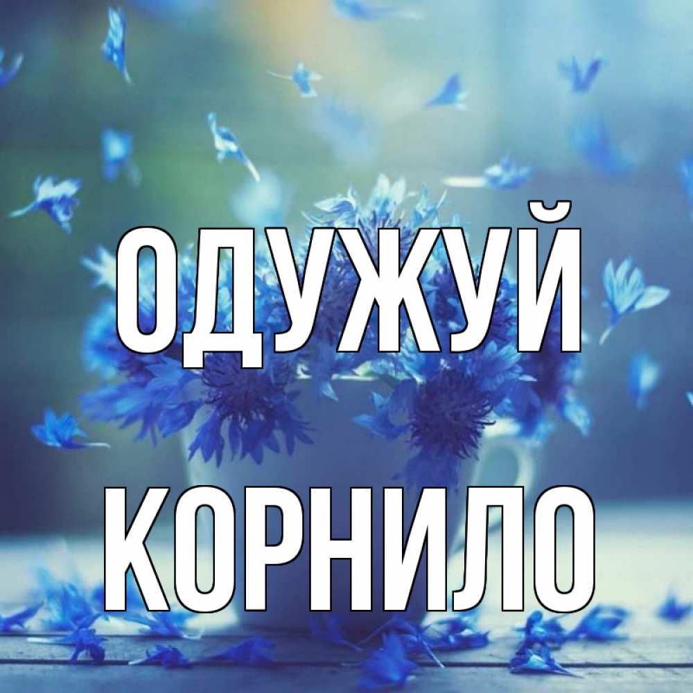 Открытка на каждый день з підписом, Корнило Одужуй кружка с зельем и цветами Прикольна листівка з побажанням онлайн скачати безкоштовно 