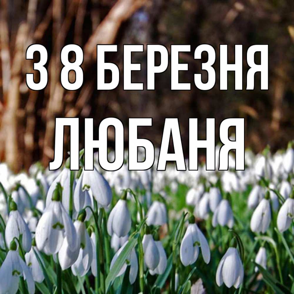 Открытка на каждый день з підписом, Любаня З 8 БЕРЕЗНЯ с подснежниками 1 Прикольна листівка з побажанням онлайн скачати безкоштовно 