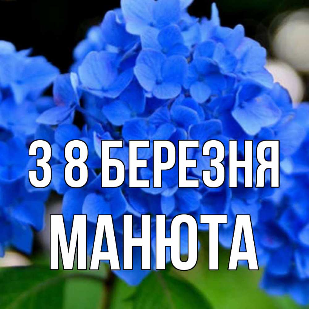 Открытка на каждый день з підписом, Манюта З 8 БЕРЕЗНЯ синие цветы Прикольна листівка з побажанням онлайн скачати безкоштовно 