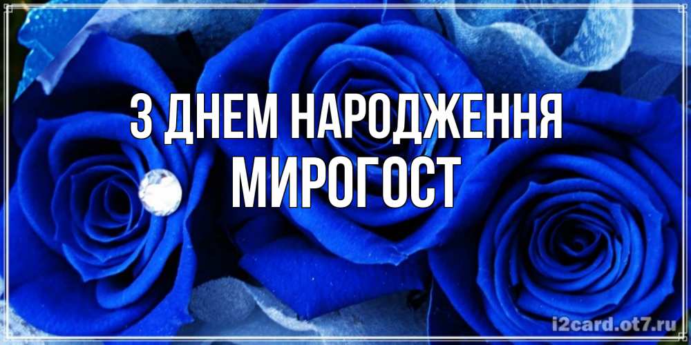 Открытка на каждый день з підписом, Мирогост З Днем народження синие розы в росе Прикольна листівка з побажанням онлайн скачати безкоштовно 