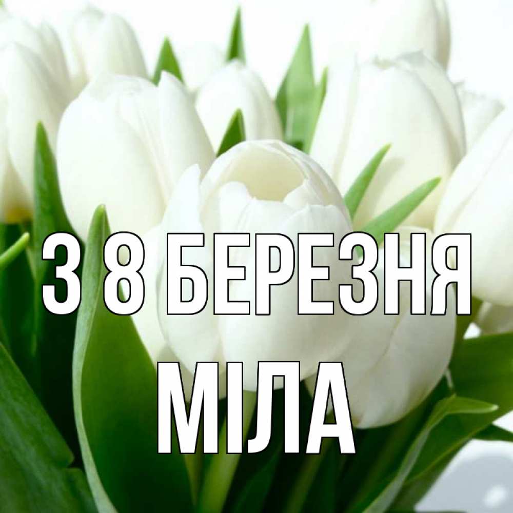 Открытка на каждый день з підписом, Міла З 8 БЕРЕЗНЯ цветы Прикольна листівка з побажанням онлайн скачати безкоштовно 