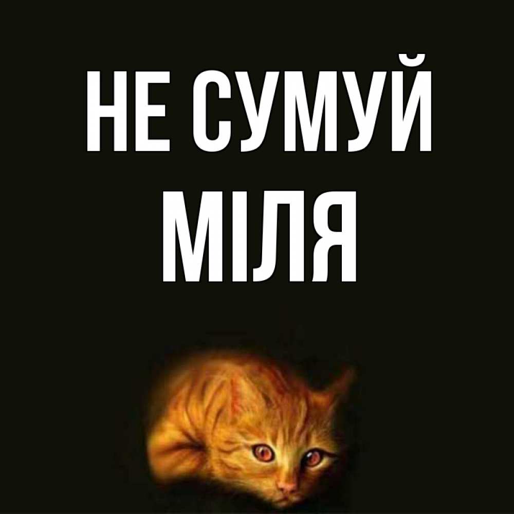 Открытка на каждый день з підписом, Міля Не сумуй лежащий кот в темноте Прикольна листівка з побажанням онлайн скачати безкоштовно 