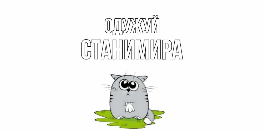 Открытка на каждый день з підписом, Станимира Одужуй кот и открытки про выздоровление Прикольна листівка з побажанням онлайн скачати безкоштовно 