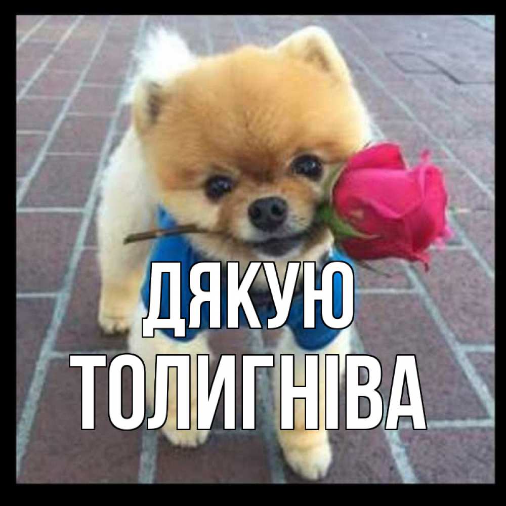 Открытка на каждый день з підписом, Толигніва Дякую спасибо и дарю тебе цветок Прикольна листівка з побажанням онлайн скачати безкоштовно 