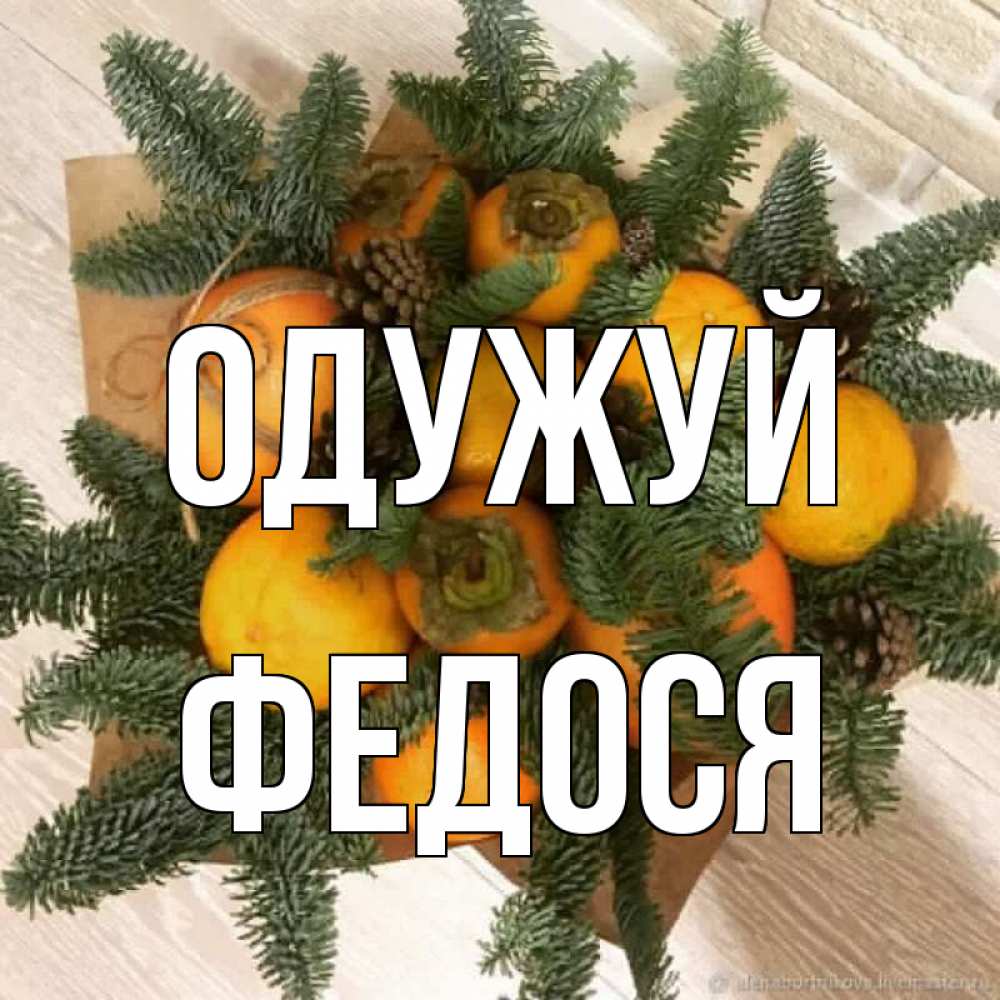 Открытка на каждый день з підписом, Федося Одужуй апельсины и хурьма Прикольна листівка з побажанням онлайн скачати безкоштовно 