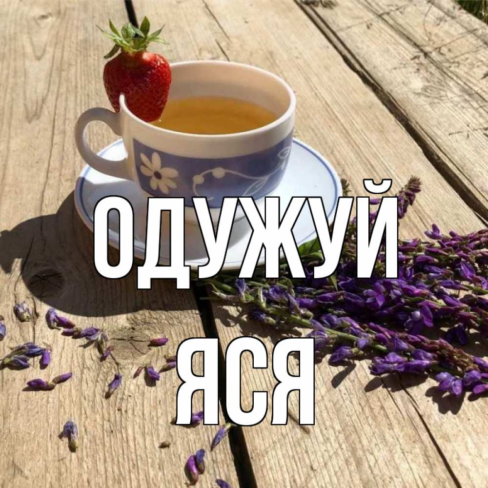 Открытка на каждый день з підписом, Яся Одужуй чай Прикольна листівка з побажанням онлайн скачати безкоштовно 