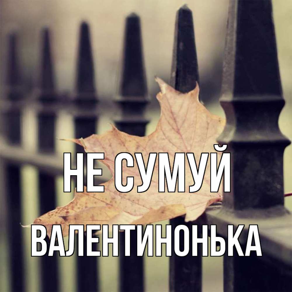 Открытка на каждый день з підписом, Валентинонька Не сумуй лист клена Прикольна листівка з побажанням онлайн скачати безкоштовно 