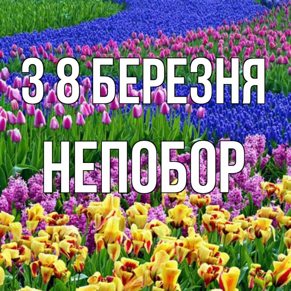 Открытка на каждый день з підписом, Непобор З 8 БЕРЕЗНЯ цветы Прикольна листівка з побажанням онлайн скачати безкоштовно 