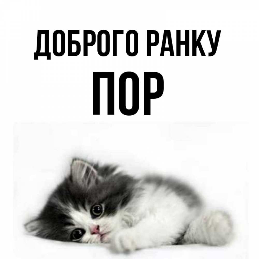 Открытка на каждый день з підписом, Пор Доброго ранку кот лапки Прикольна листівка з побажанням онлайн скачати безкоштовно 
