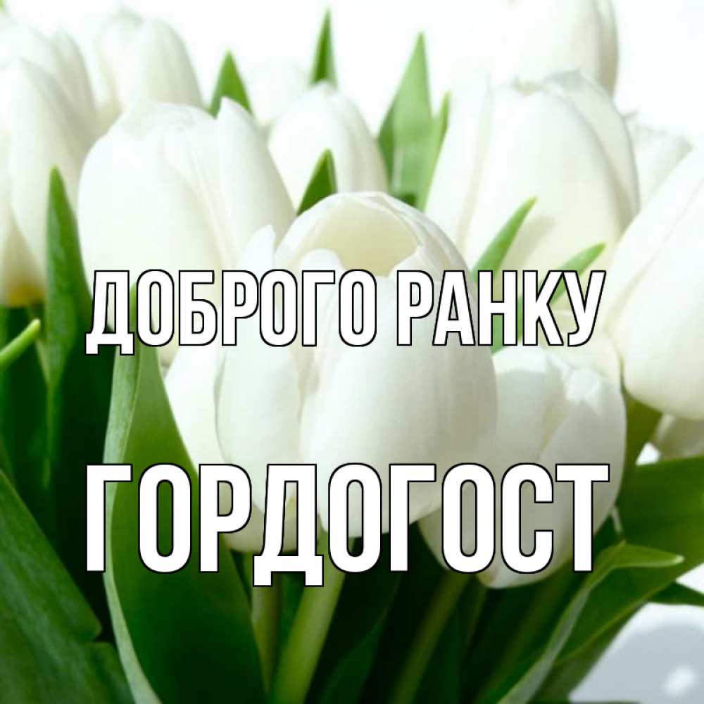 Открытка на каждый день з підписом, Гордогост Доброго ранку открытки на каждый день по именам Прикольна листівка з побажанням онлайн скачати безкоштовно 