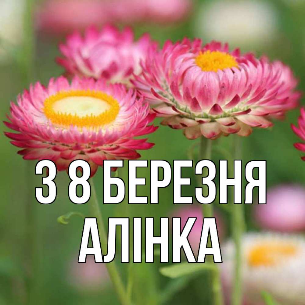 Открытка на каждый день з підписом, Алінка З 8 БЕРЕЗНЯ подарок на международный женский день Прикольна листівка з побажанням онлайн скачати безкоштовно 
