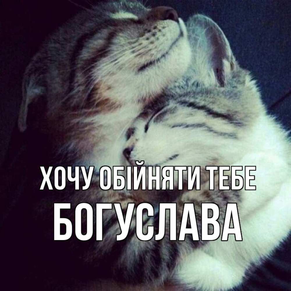 Открытка на каждый день з підписом, Богуслава Хочу обійняти тебе полосатики Прикольна листівка з побажанням онлайн скачати безкоштовно 