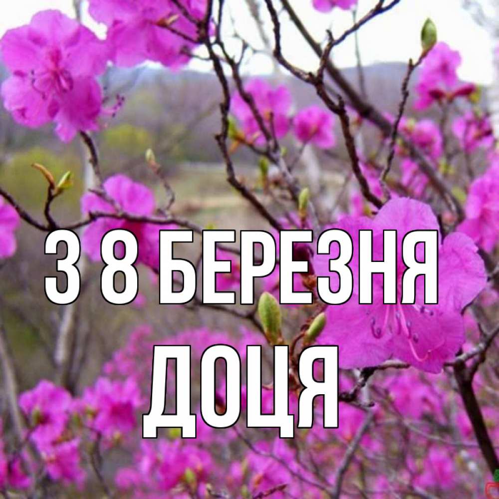 Открытка на каждый день з підписом, Доця З 8 БЕРЕЗНЯ международный женский день Прикольна листівка з побажанням онлайн скачати безкоштовно 