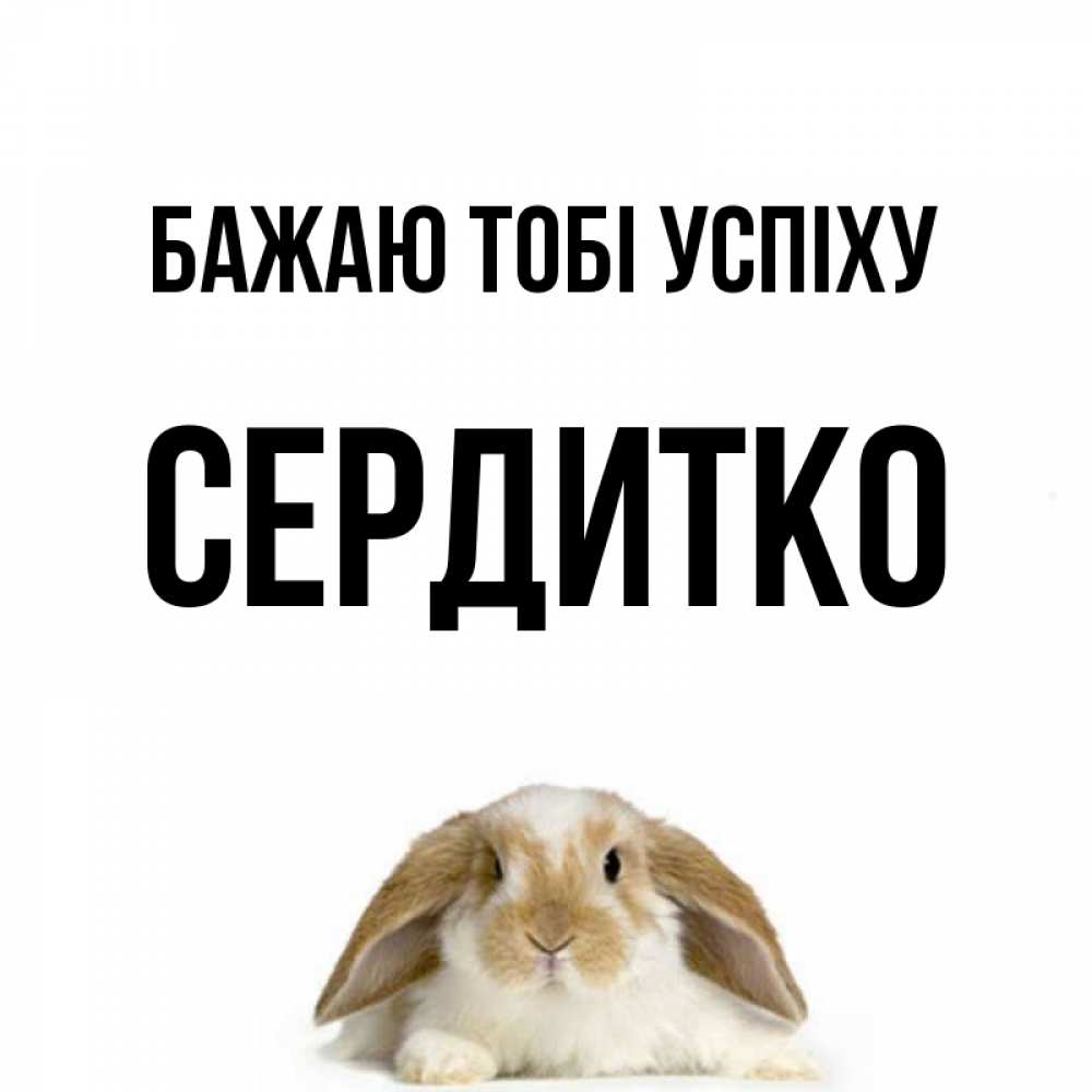 Открытка на каждый день з підписом, Сердитко Бажаю тобі успіху открытки с произвольным текстом который можно вставить в открытку и создать ее самостоятельно бесплатно онлайн Прикольна листівка з побажанням онлайн скачати безкоштовно 