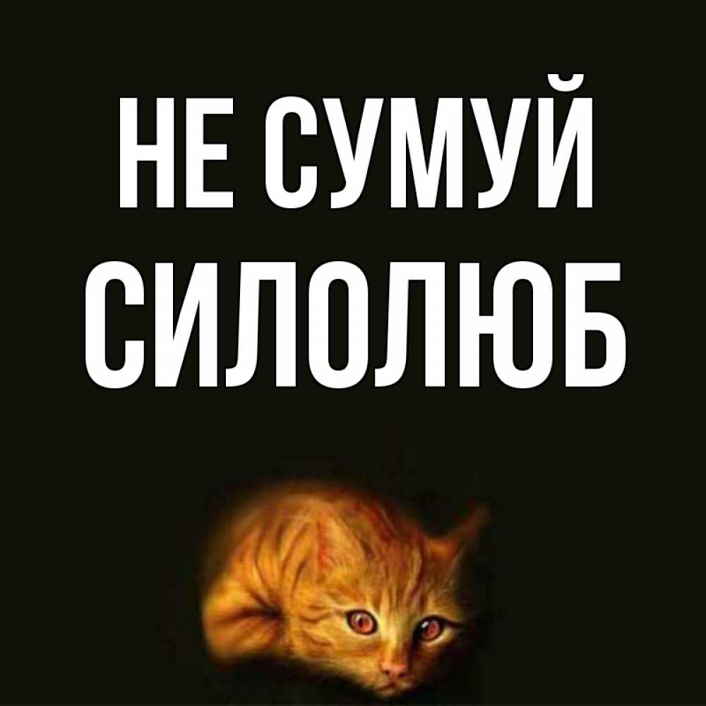 Открытка на каждый день з підписом, Силолюб Не сумуй лежащий кот в темноте Прикольна листівка з побажанням онлайн скачати безкоштовно 
