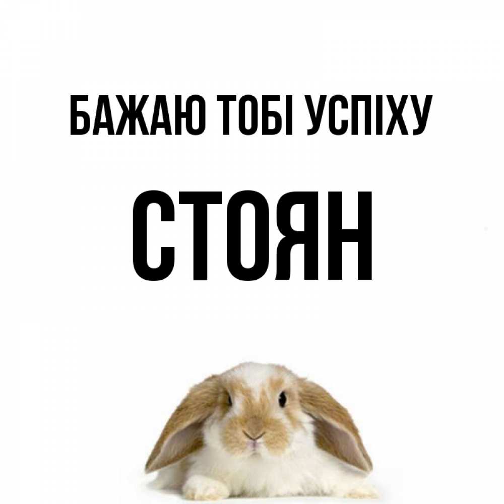 Открытка на каждый день з підписом, Стоян Бажаю тобі успіху открытки с произвольным текстом который можно вставить в открытку и создать ее самостоятельно бесплатно онлайн Прикольна листівка з побажанням онлайн скачати безкоштовно 