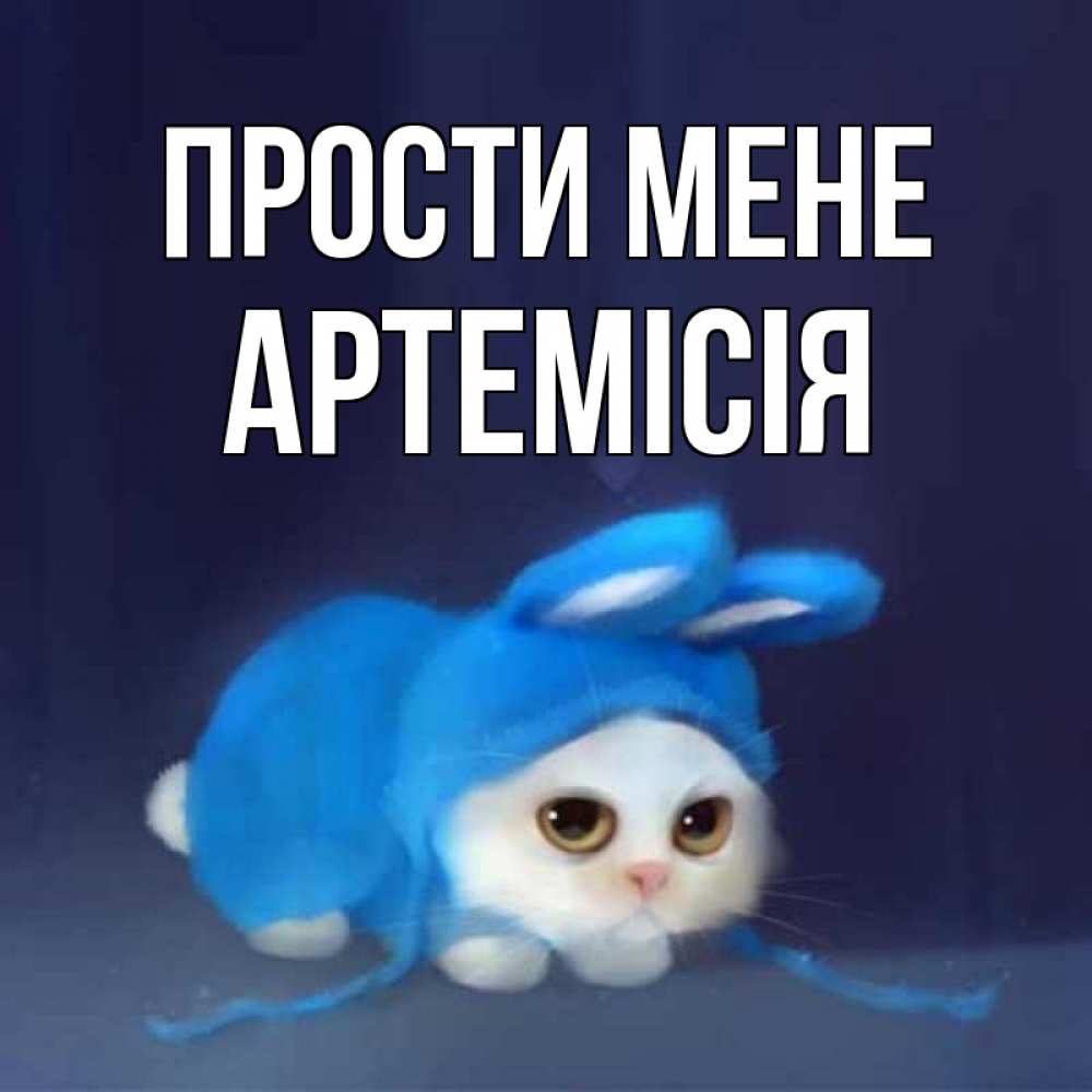Открытка на каждый день з підписом, Артемісія Прости мене невинный котозай просит прощения Прикольна листівка з побажанням онлайн скачати безкоштовно 