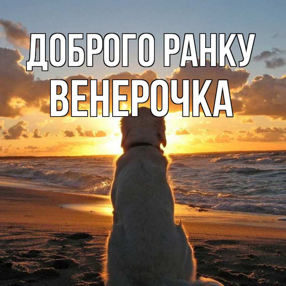 Открытка на каждый день з підписом, Венерочка Доброго ранку восход солнца Прикольна листівка з побажанням онлайн скачати безкоштовно 