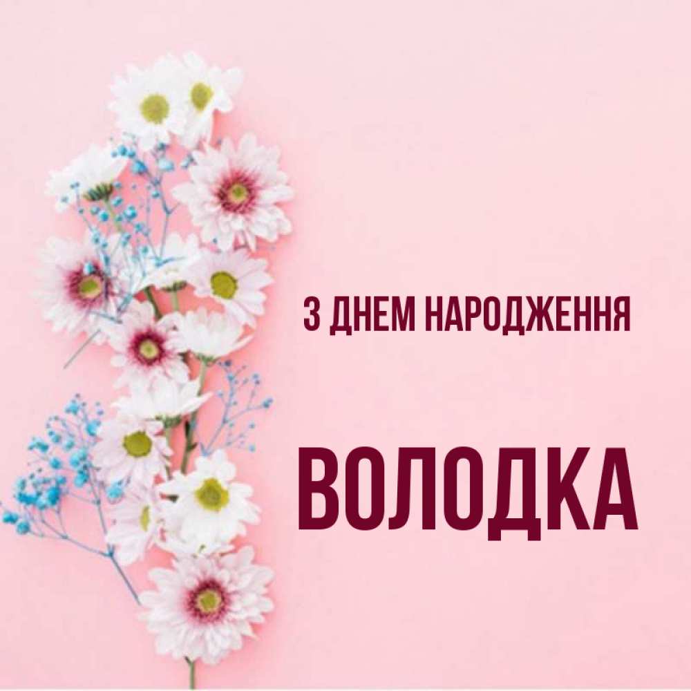 Открытка на каждый день з підписом, Володка З Днем народження Родная моя с днем рождения тебя картинка с цветами белыми и голубыми Прикольна листівка з побажанням онлайн скачати безкоштовно 