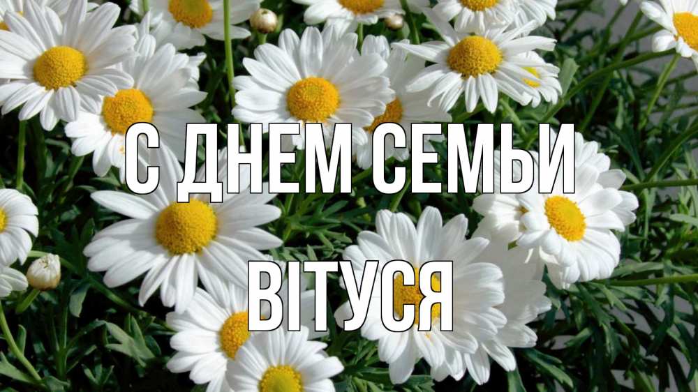 Открытка на каждый день з підписом, Вітуся С днем семьи с днем семьи Прикольна листівка з побажанням онлайн скачати безкоштовно 