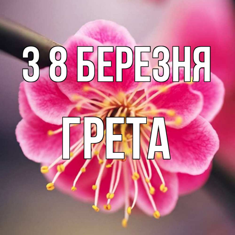 Открытка на каждый день з підписом, Грета З 8 БЕРЕЗНЯ цветы Прикольна листівка з побажанням онлайн скачати безкоштовно 