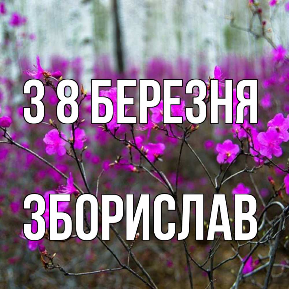 Открытка на каждый день з підписом, Зборислав З 8 БЕРЕЗНЯ дикие цветы Прикольна листівка з побажанням онлайн скачати безкоштовно 