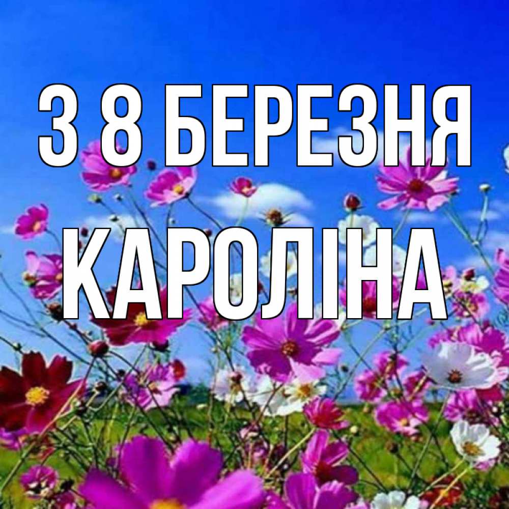 Открытка на каждый день з підписом, Кароліна З 8 БЕРЕЗНЯ цветы Прикольна листівка з побажанням онлайн скачати безкоштовно 