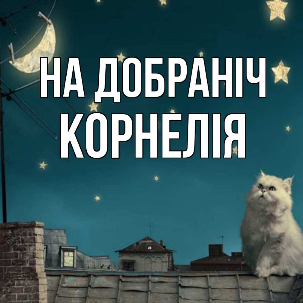 Открытка на каждый день з підписом, Корнелія На добраніч белый кот сидит на крыше Прикольна листівка з побажанням онлайн скачати безкоштовно 