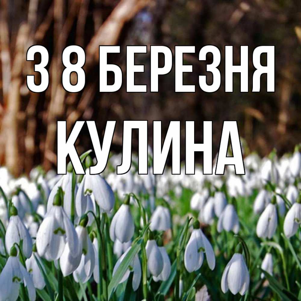 Открытка на каждый день з підписом, Кулина З 8 БЕРЕЗНЯ с подснежниками 1 Прикольна листівка з побажанням онлайн скачати безкоштовно 