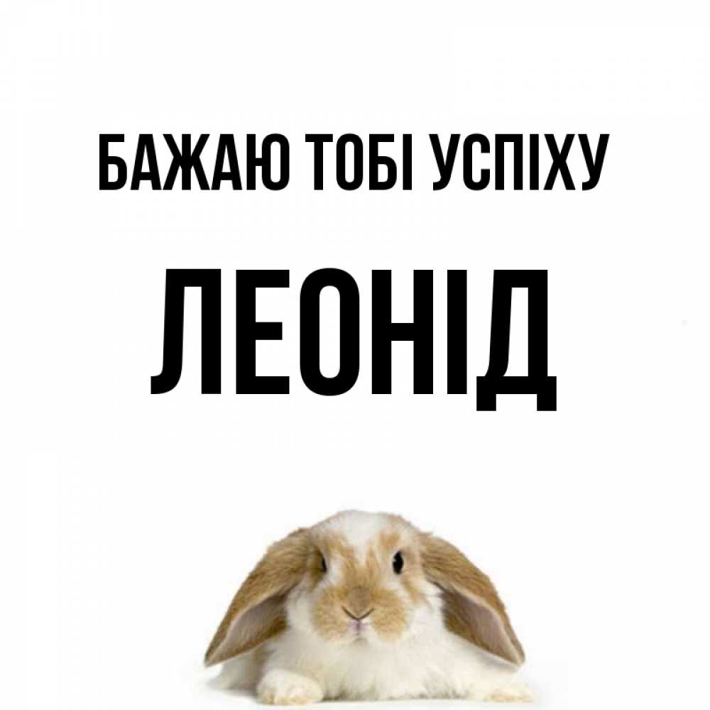 Открытка на каждый день з підписом, Леонід Бажаю тобі успіху открытки с произвольным текстом который можно вставить в открытку и создать ее самостоятельно бесплатно онлайн Прикольна листівка з побажанням онлайн скачати безкоштовно 