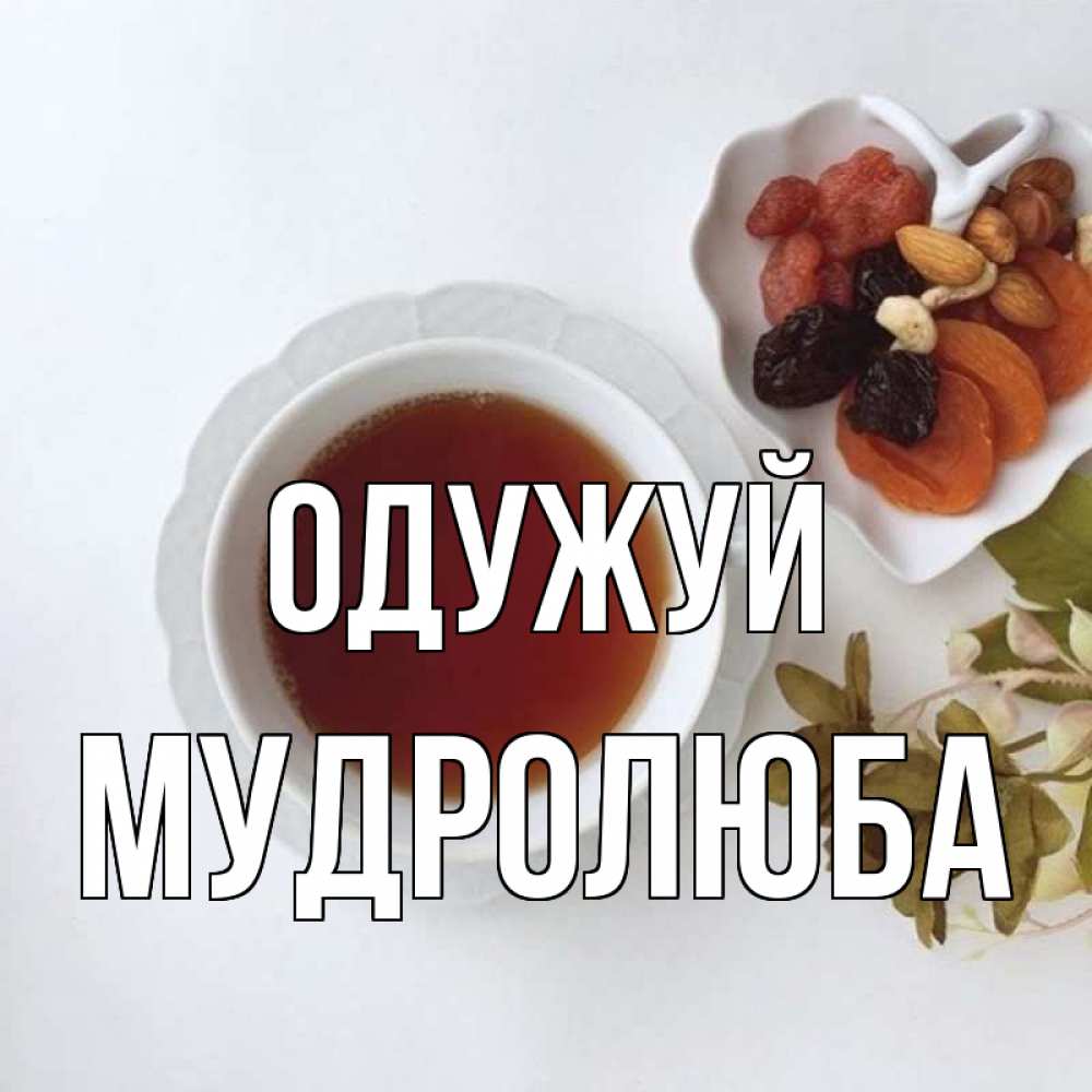 Открытка на каждый день з підписом, Мудролюба Одужуй неизвестные растения Прикольна листівка з побажанням онлайн скачати безкоштовно 