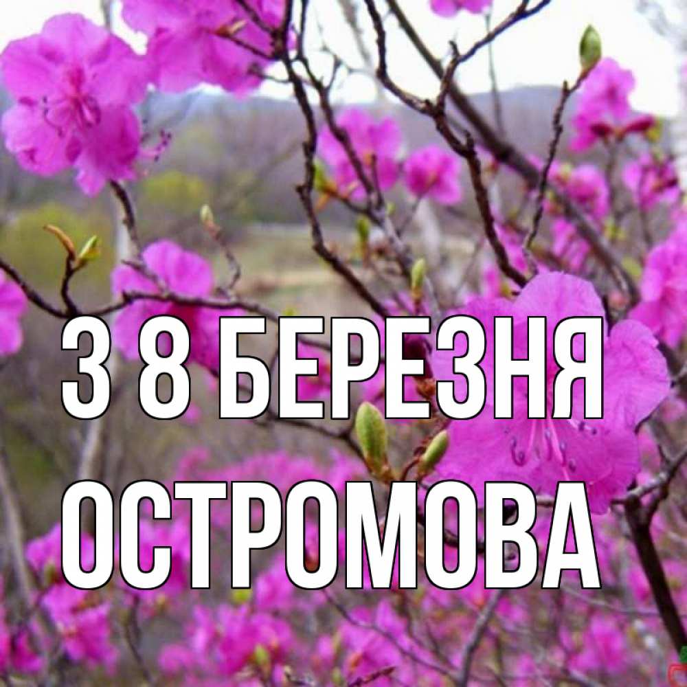 Открытка на каждый день з підписом, Остромова З 8 БЕРЕЗНЯ международный женский день Прикольна листівка з побажанням онлайн скачати безкоштовно 