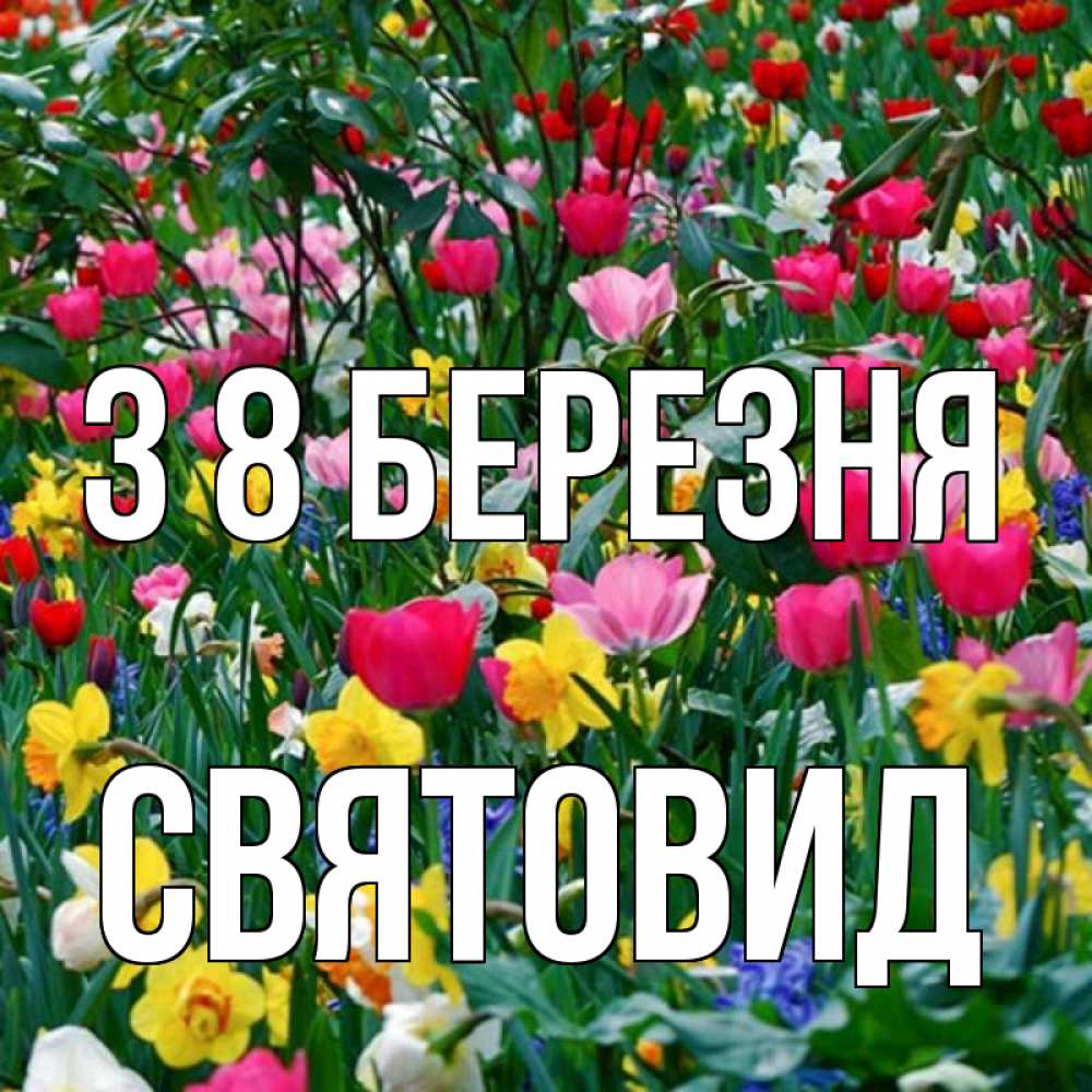Открытка на каждый день з підписом, Святовид З 8 БЕРЕЗНЯ с международным женским днем поздравления для женщины Прикольна листівка з побажанням онлайн скачати безкоштовно 
