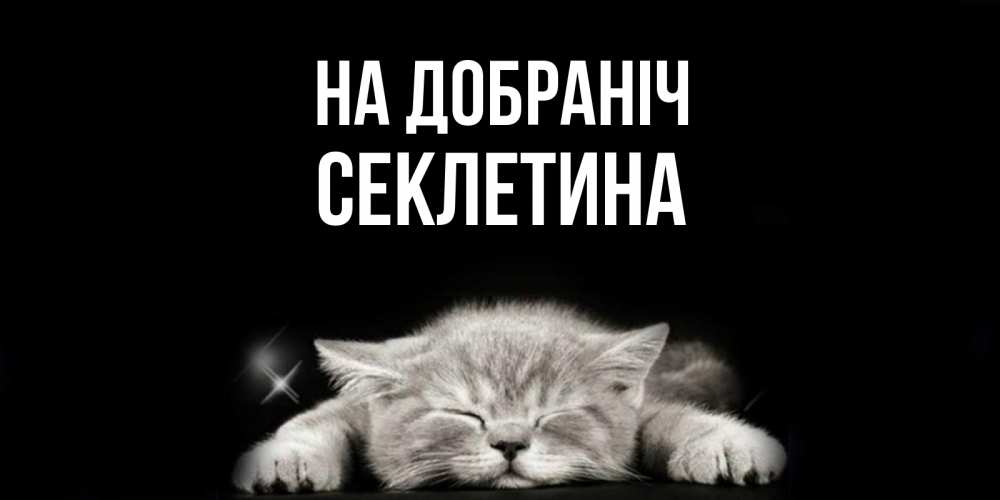 Открытка на каждый день з підписом, Секлетина На добраніч спящий котик Прикольна листівка з побажанням онлайн скачати безкоштовно 