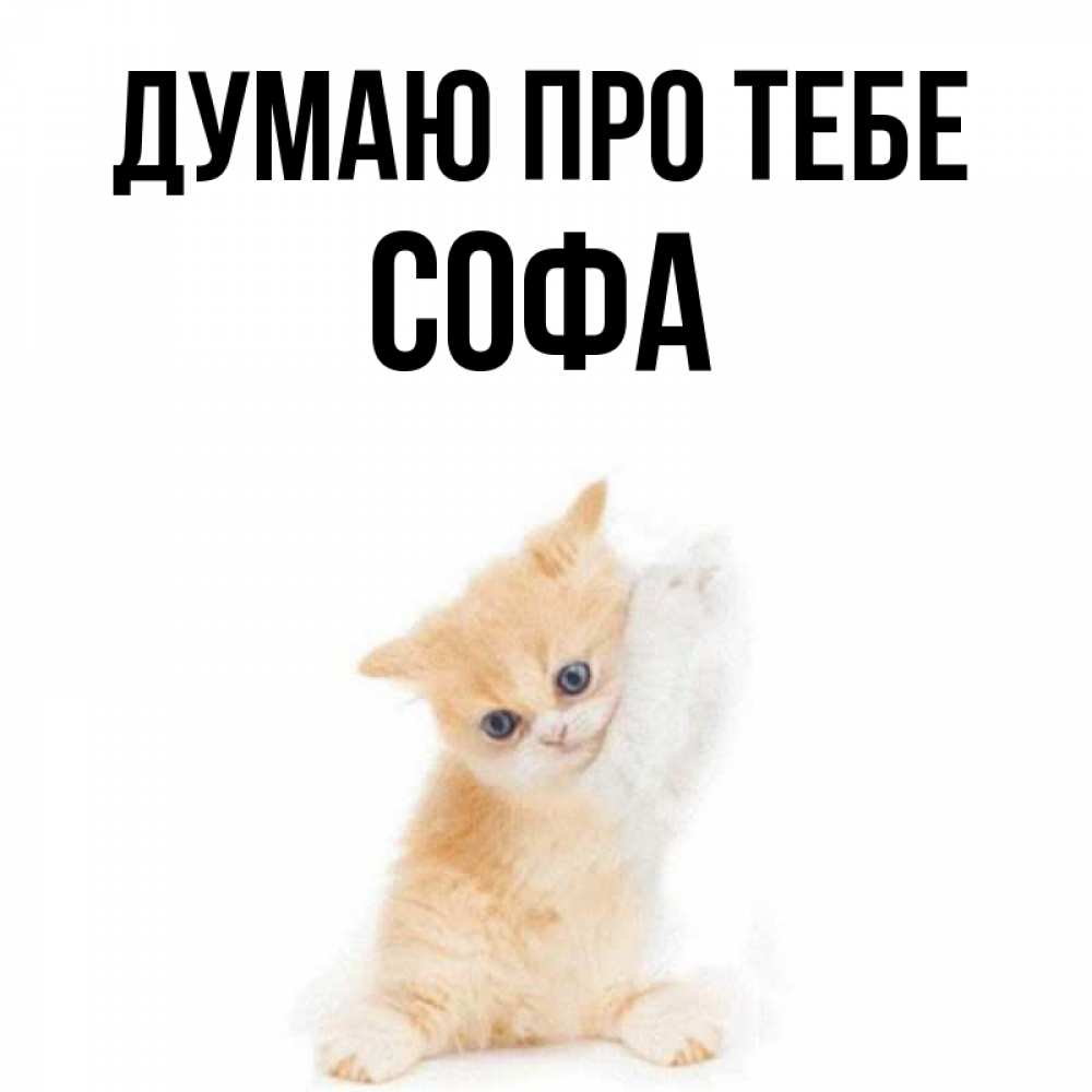 Открытка на каждый день з підписом, Софа Думаю про тебе зверушки и милота Прикольна листівка з побажанням онлайн скачати безкоштовно 