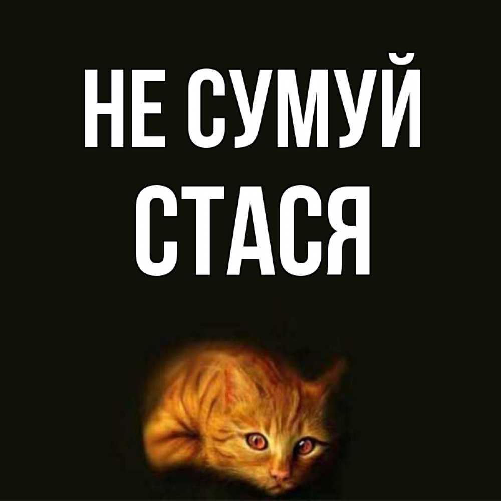 Открытка на каждый день з підписом, Стася Не сумуй лежащий кот в темноте Прикольна листівка з побажанням онлайн скачати безкоштовно 