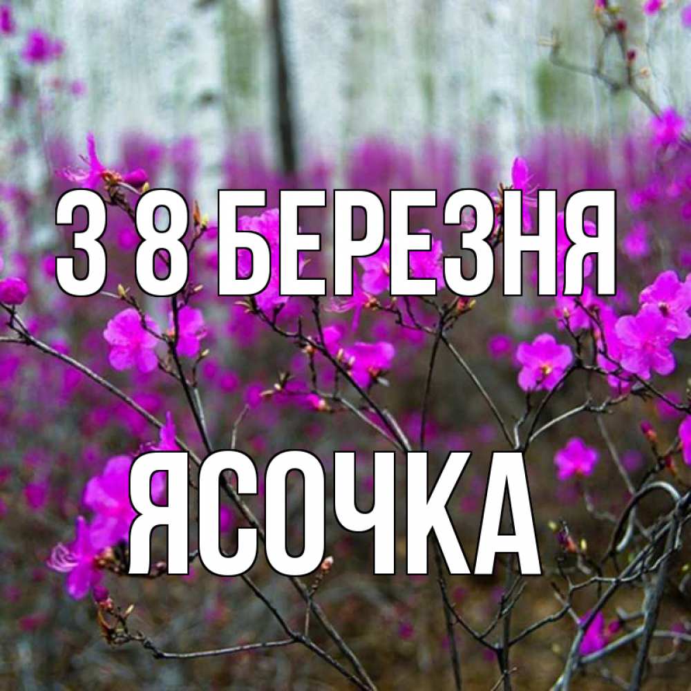 Открытка на каждый день з підписом, Ясочка З 8 БЕРЕЗНЯ дикие цветы Прикольна листівка з побажанням онлайн скачати безкоштовно 