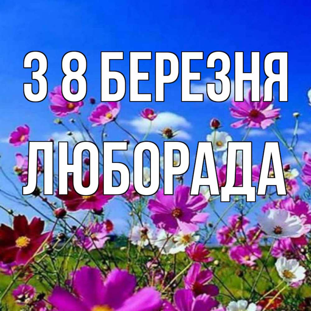 Открытка на каждый день з підписом, Люборада З 8 БЕРЕЗНЯ цветы Прикольна листівка з побажанням онлайн скачати безкоштовно 