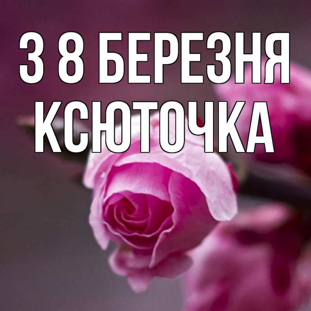 Открытка на каждый день з підписом, Ксюточка З 8 БЕРЕЗНЯ весна Прикольна листівка з побажанням онлайн скачати безкоштовно 