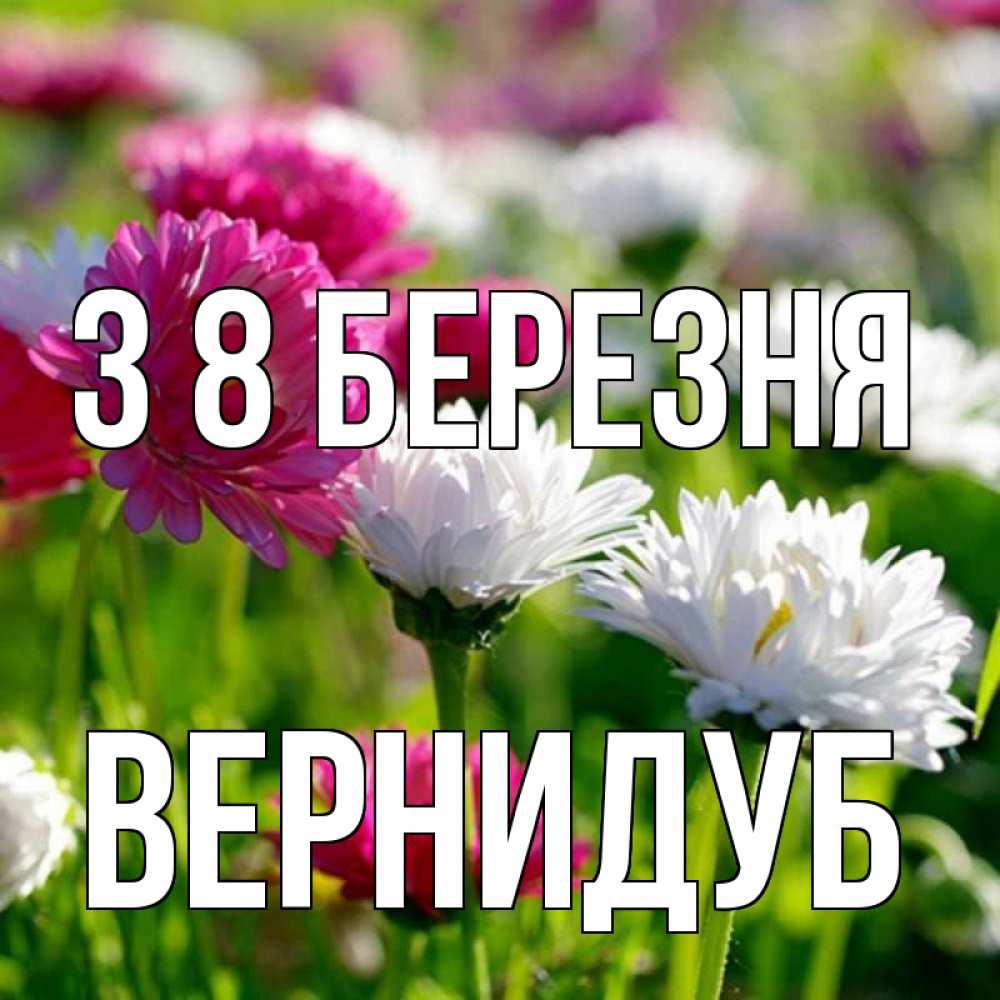 Открытка на каждый день з підписом, Вернидуб З 8 БЕРЕЗНЯ международный женский день 1 Прикольна листівка з побажанням онлайн скачати безкоштовно 