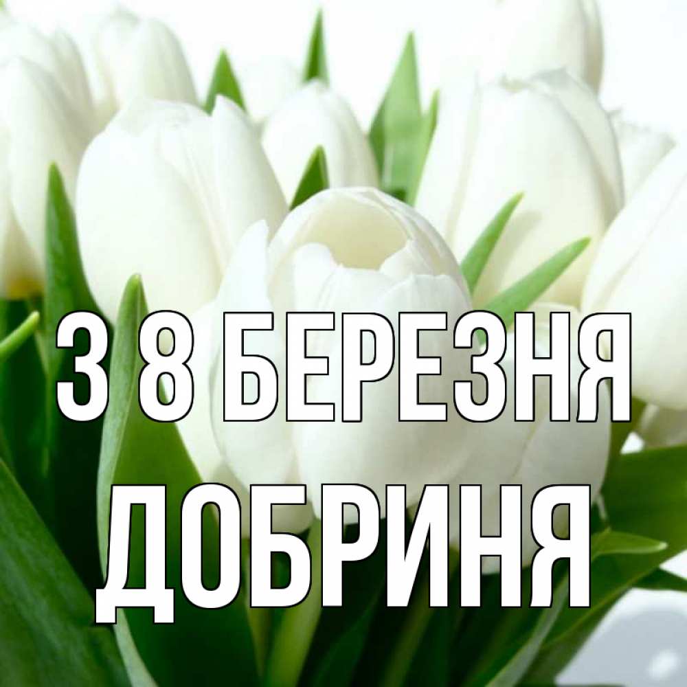 Открытка на каждый день з підписом, Добриня З 8 БЕРЕЗНЯ цветы Прикольна листівка з побажанням онлайн скачати безкоштовно 