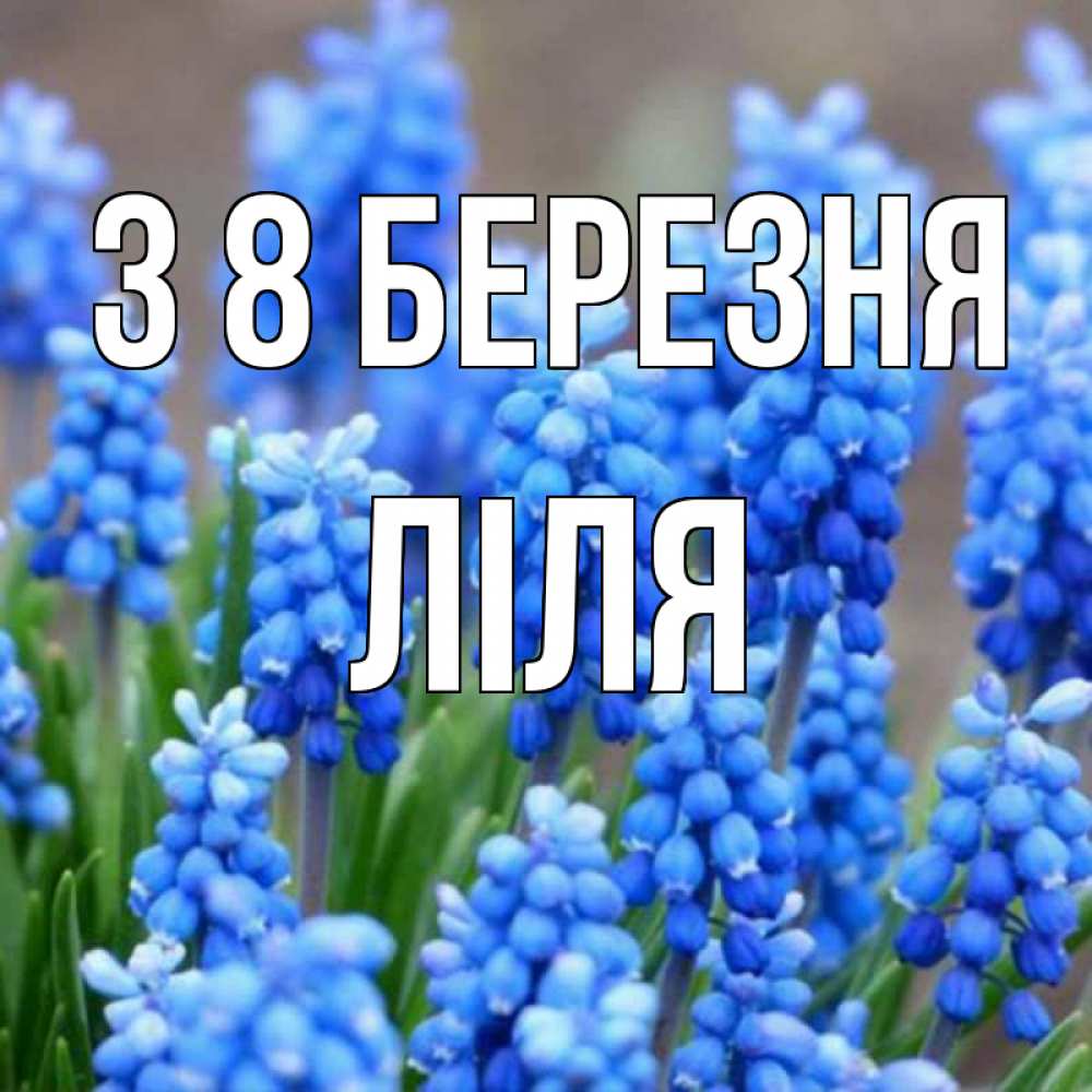 Открытка на каждый день з підписом, Ліля З 8 БЕРЕЗНЯ Поздравительная открытка для женщин с цветами на праздничную дату Прикольна листівка з побажанням онлайн скачати безкоштовно 