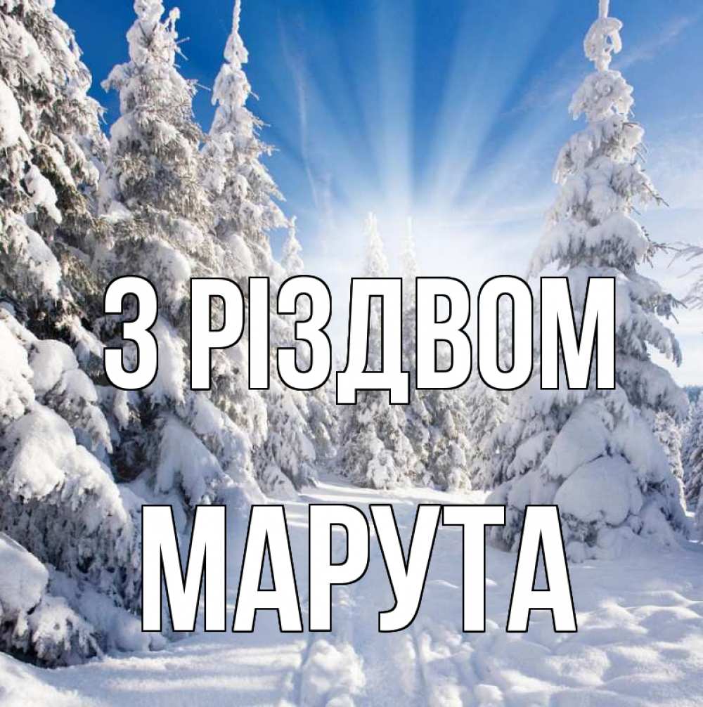 Открытка на каждый день з підписом, Марута З Різдвом зима, лес Прикольна листівка з побажанням онлайн скачати безкоштовно 