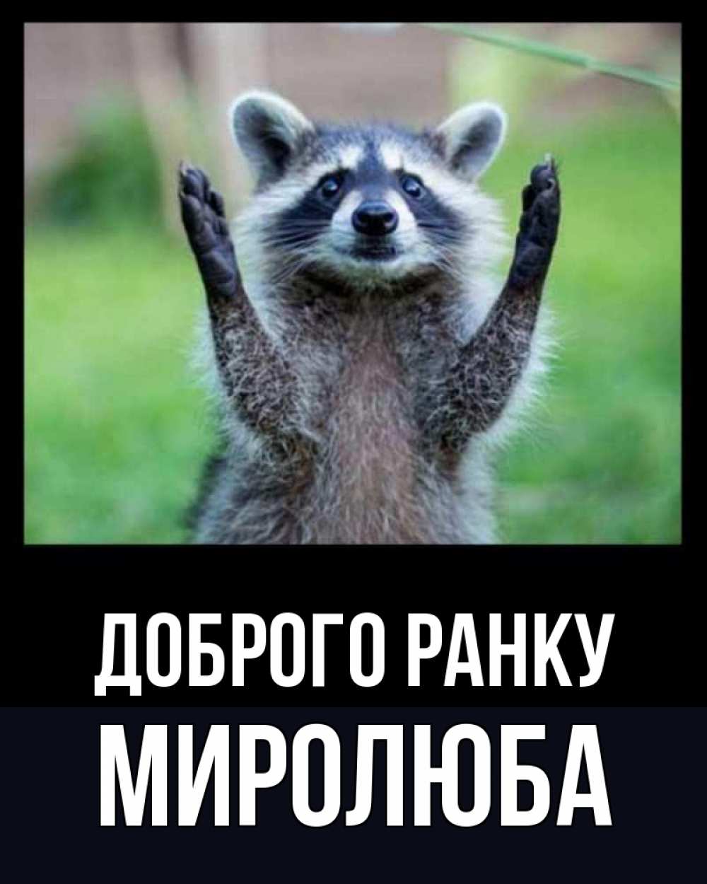 Открытка на каждый день з підписом, Миролюба Доброго ранку хорошее настроение утречком Прикольна листівка з побажанням онлайн скачати безкоштовно 