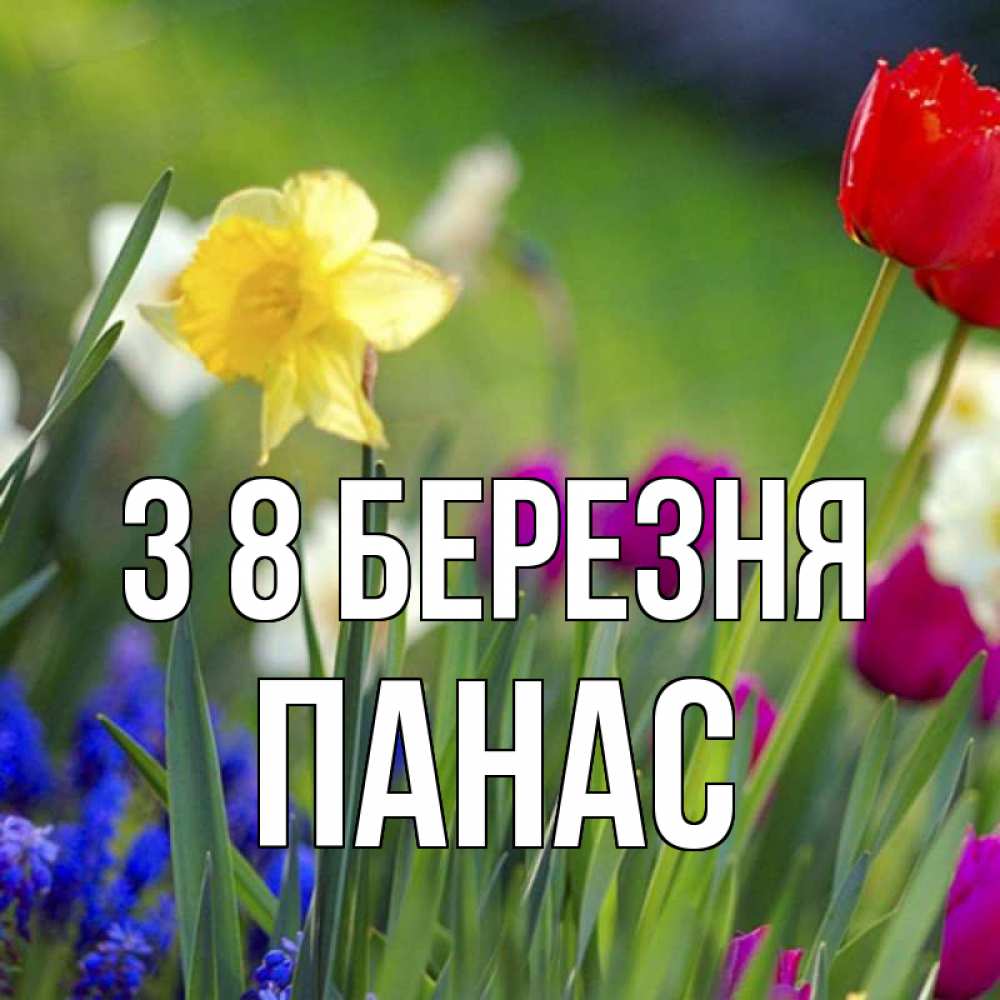 Открытка на каждый день з підписом, Панас З 8 БЕРЕЗНЯ международный женский день 3 Прикольна листівка з побажанням онлайн скачати безкоштовно 