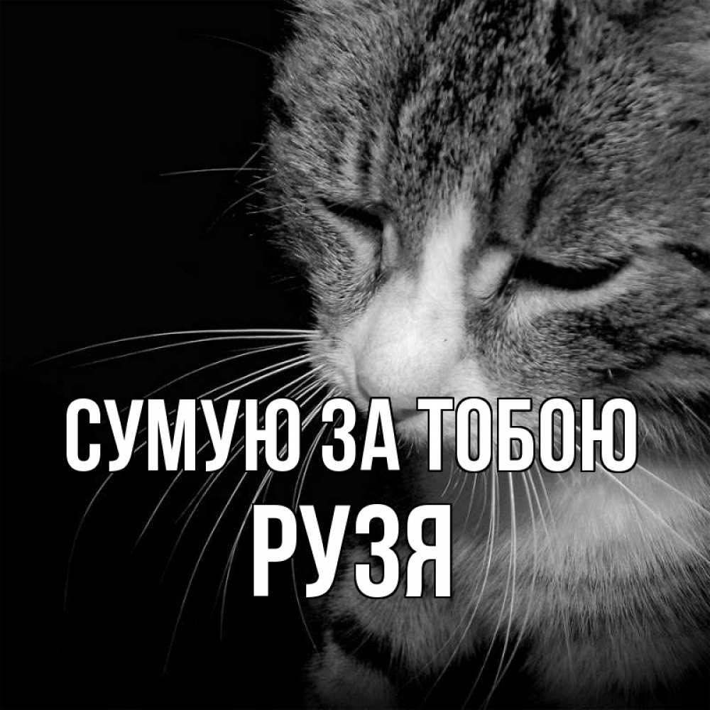 Открытка на каждый день з підписом, Рузя Сумую за тобою мне скучно Прикольна листівка з побажанням онлайн скачати безкоштовно 