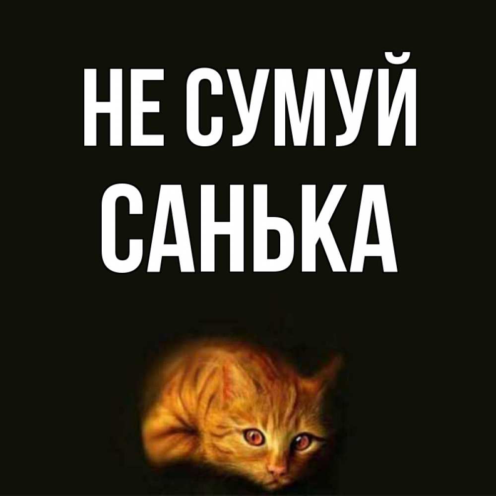 Открытка на каждый день з підписом, Санька Не сумуй лежащий кот в темноте Прикольна листівка з побажанням онлайн скачати безкоштовно 