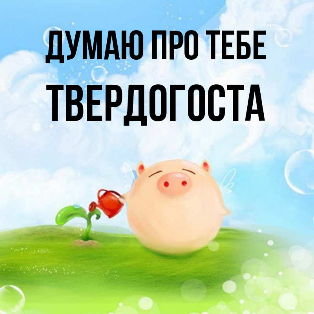 Открытка на каждый день з підписом, Твердогоста Думаю про тебе позитивная свинюшка Прикольна листівка з побажанням онлайн скачати безкоштовно 
